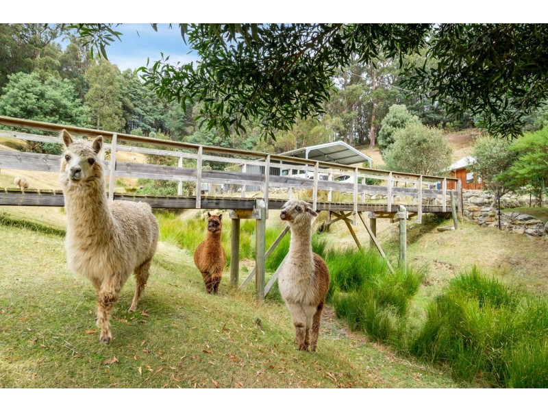 955 Pelverata Road, Pelverata TAS 7150