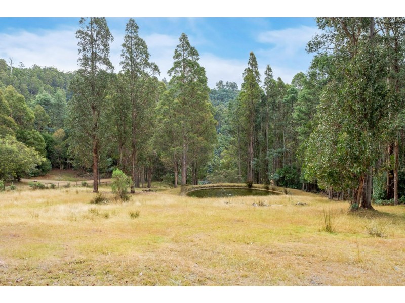 955 Pelverata Road, Pelverata TAS 7150