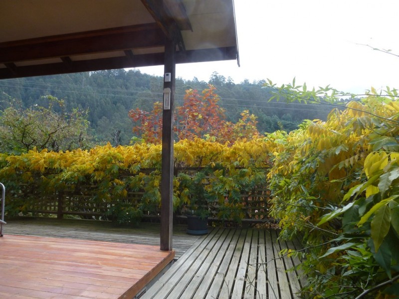 955 Pelverata Road, Pelverata TAS 7150