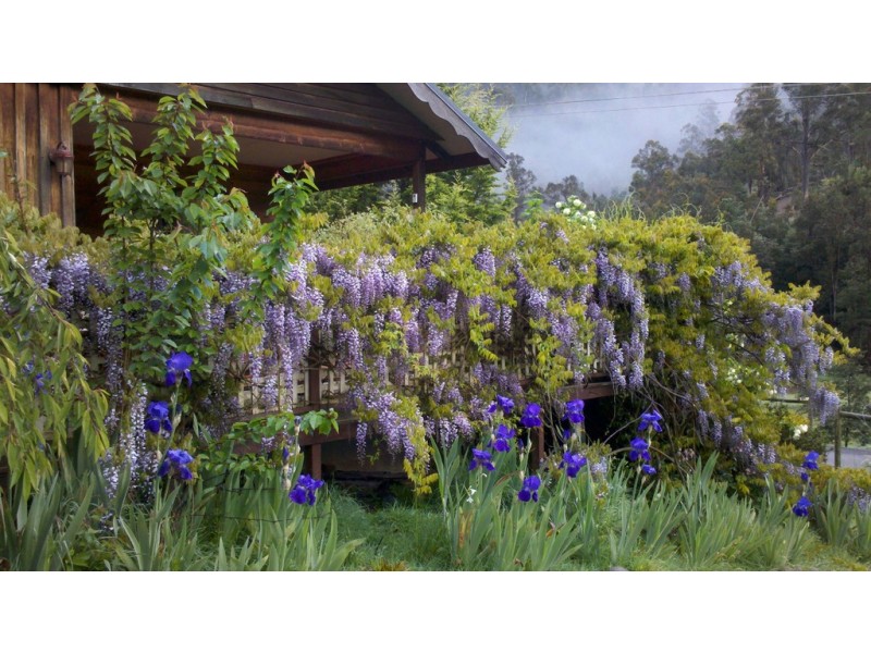 955 Pelverata Road, Pelverata TAS 7150