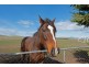 518 York Plains Road, York Plains TAS 7120