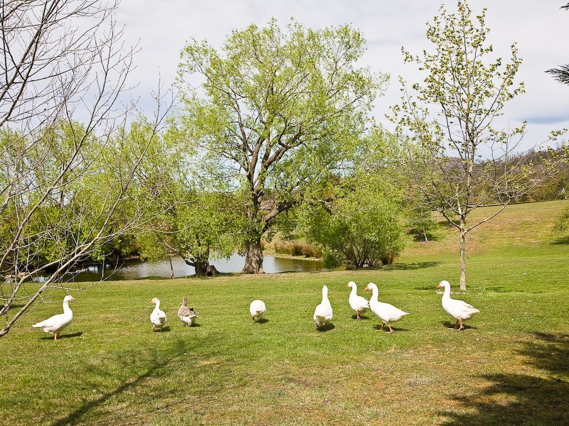 47 Everton Place, Acton Park TAS 7170