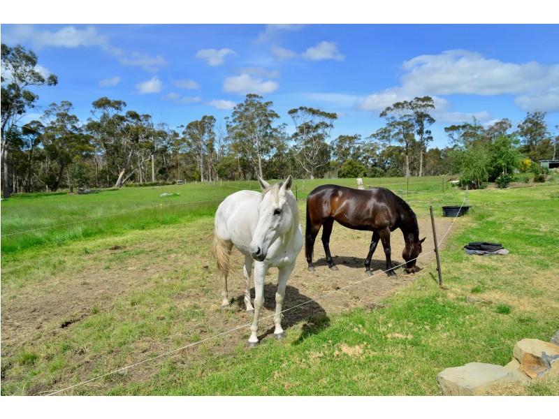 750 Sandfly Road, Sandfly TAS 7150