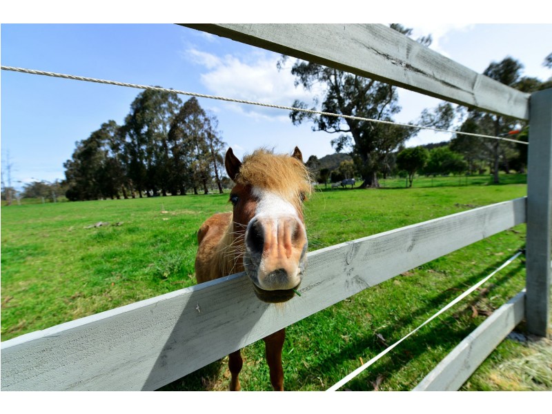 750 Sandfly Road, Sandfly TAS 7150