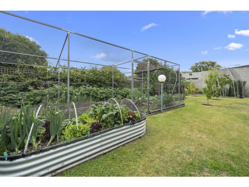 8 Windsor Street, Kingston Beach TAS 7050