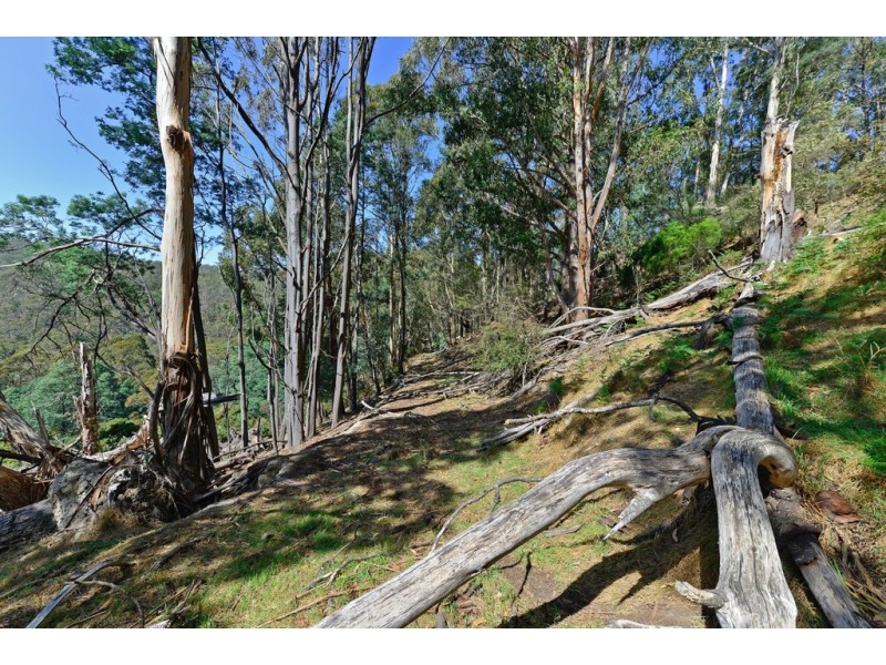 2-10 Turnip Fields Road, South Hobart TAS 7004