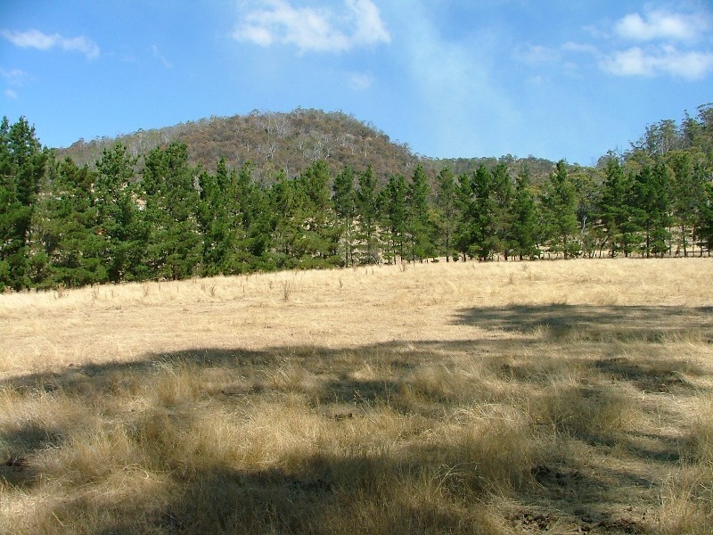 908 Acton Road, Acton Park TAS 7170