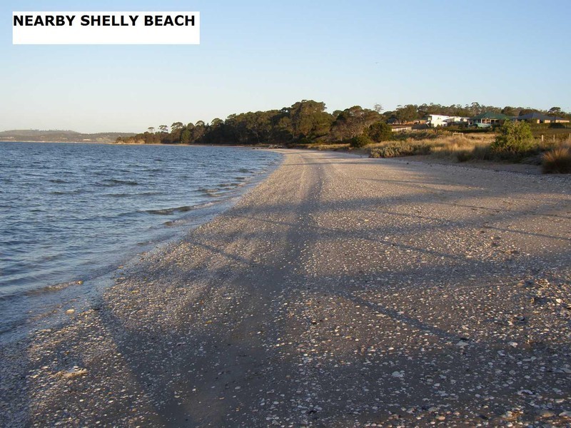 22 Meadows Place, Opossum Bay TAS 7023