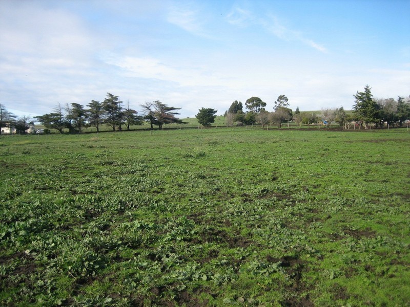 Lot 15 Alliance Drive, Cambridge TAS 7170