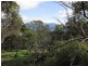 98a Blessington, South Arm TAS 7022