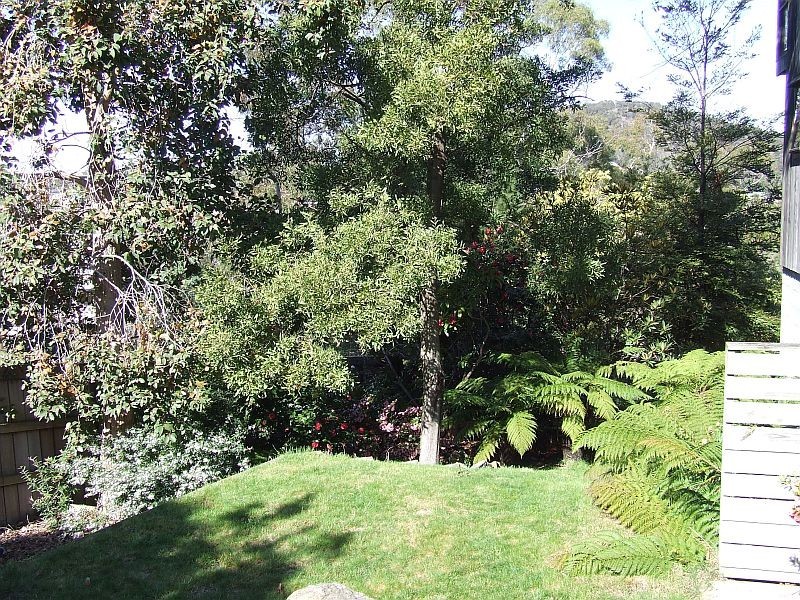 13 Cedar Street, Lindisfarne TAS 7015