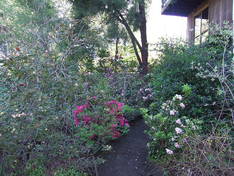 13 Cedar Street, Lindisfarne TAS 7015