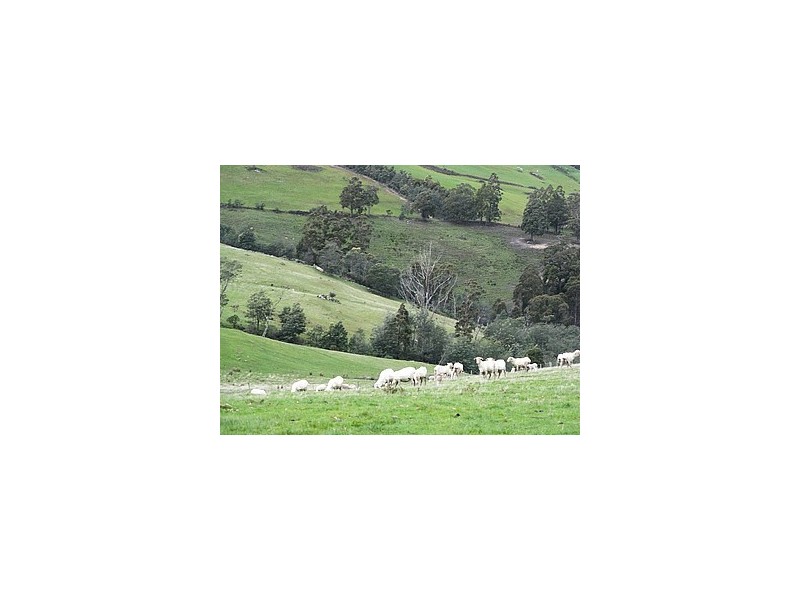 0 Blackpost Road, Tunnack TAS 7120