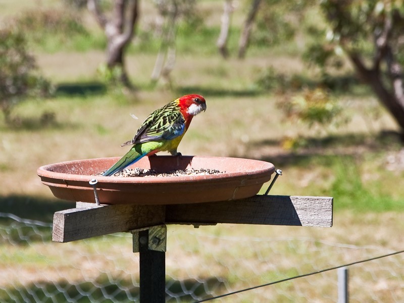 180  Rifle Range Road, Sandford TAS 7020