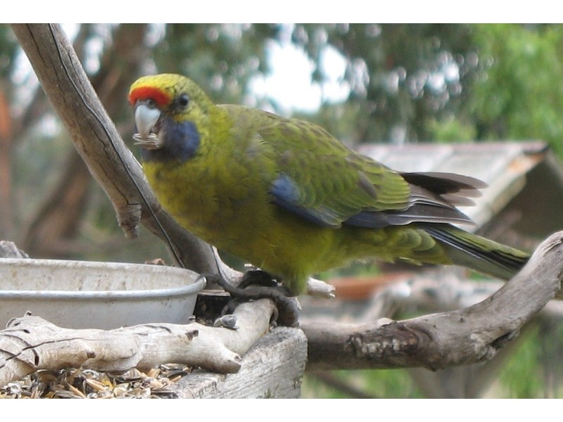 180  Rifle Range Road, Sandford TAS 7020