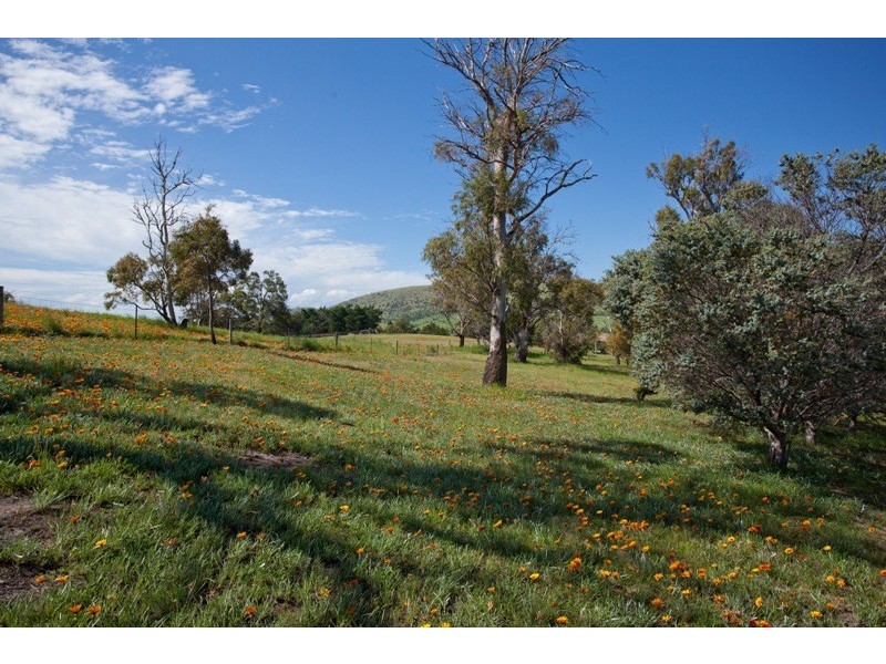 998 Richmond Road, Richmond TAS 7025