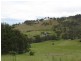 43 Bourbon Avenue, Richmond TAS 7025