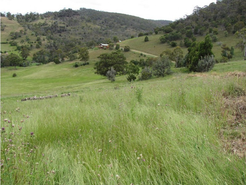 43 Bourbon Avenue, Richmond TAS 7025