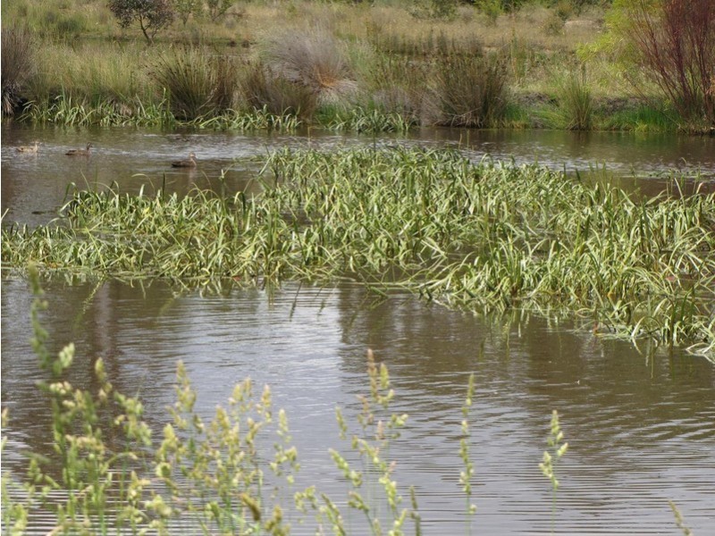 127 Forest Hill Road, Sandford TAS 7020