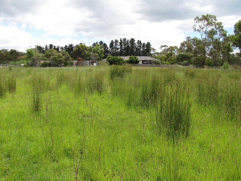 127 Forest Hill Road, Sandford TAS 7020