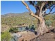 9 Alliance Drive, Cambridge TAS 7170