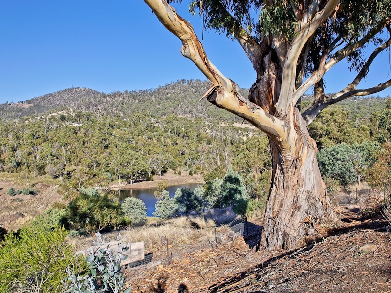 9 Alliance Drive, Cambridge TAS 7170