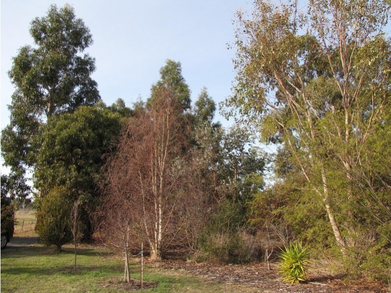 143 Seven Mile Beach Rd, Seven Mile Beach TAS 7170