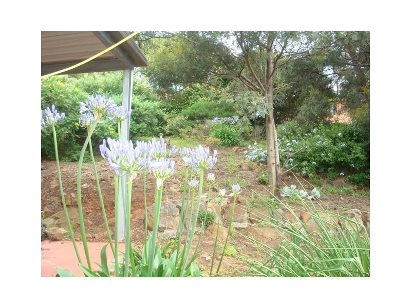 7/219 Cambridge Road, Warrane TAS 7018