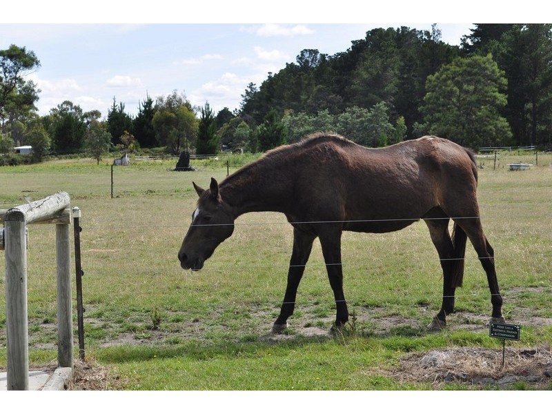 6 Estate Drive, Acton Park TAS 7170