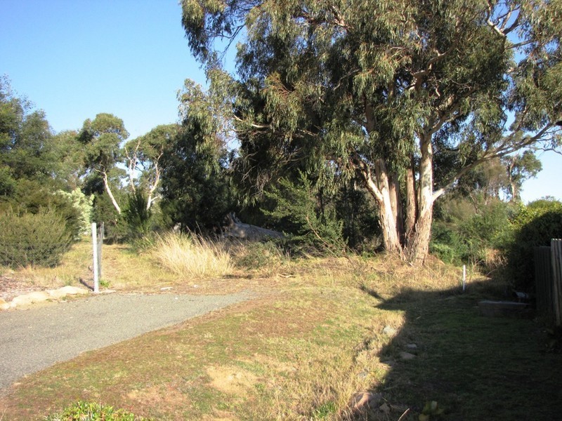 19A Avoca Street, Lindisfarne TAS 7015