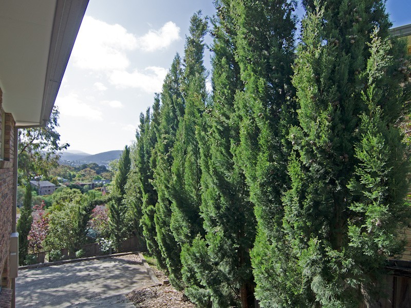 271A Churchill Avenue, Sandy Bay TAS 7005