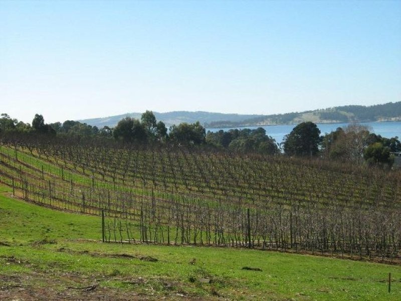 3644 Channel Highway, Birchs Bay TAS 7162