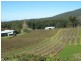 3644 Channel Highway, Birchs Bay TAS 7162