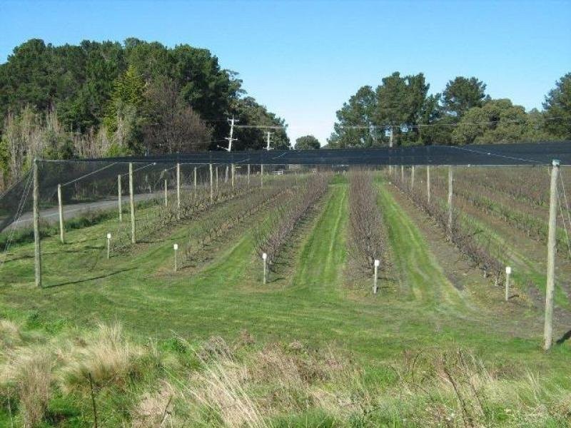 3644 Channel Highway, Birchs Bay TAS 7162