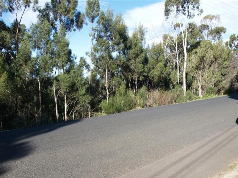 106 Summerleas Road, Fern Tree TAS 7054