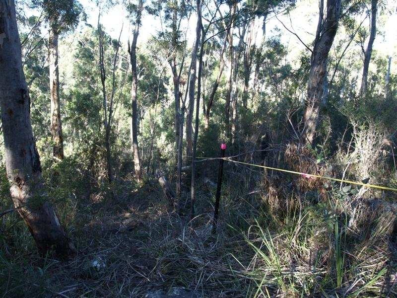 106 Summerleas Road, Fern Tree TAS 7054