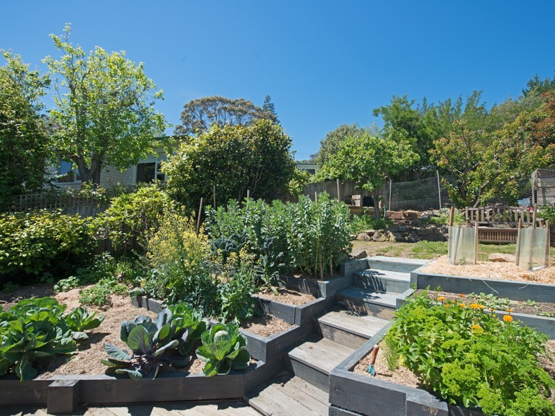 54 Begonia Street, Lindisfarne TAS 7015