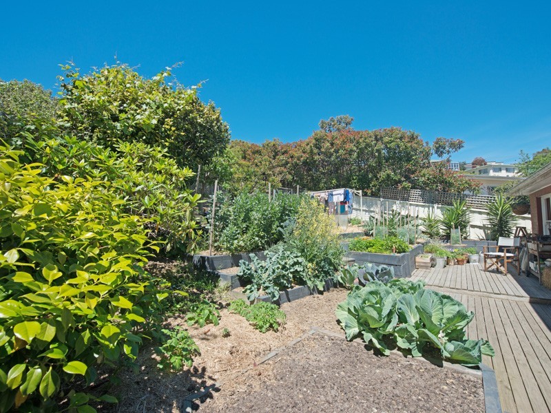 54 Begonia Street, Lindisfarne TAS 7015