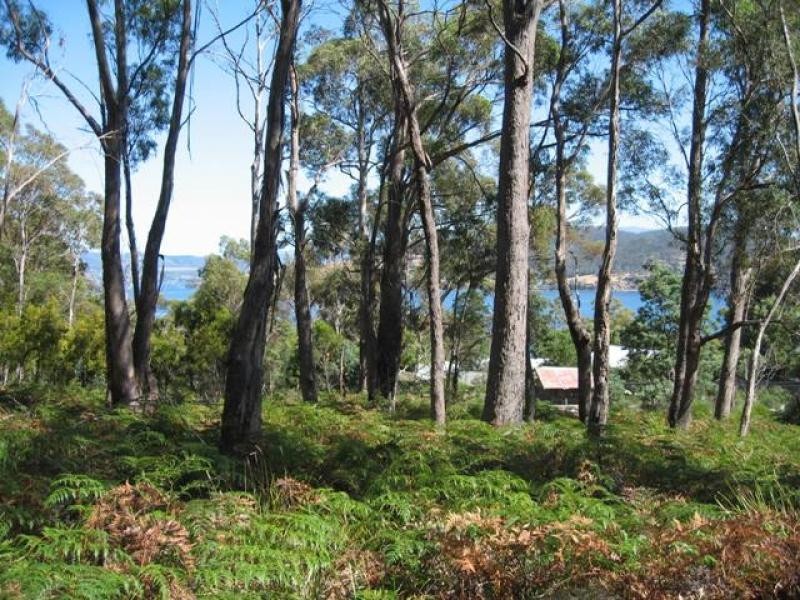 37 Dennes Point, Bruny Island TAS 7150