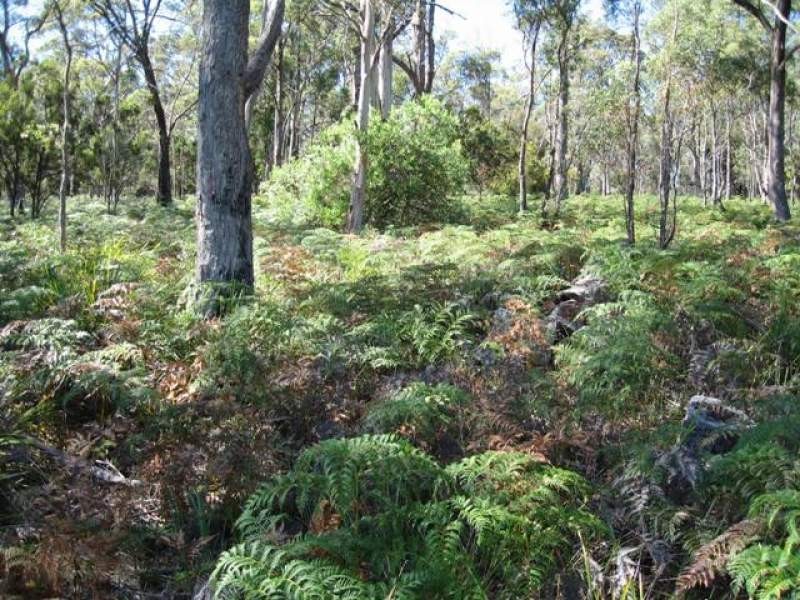 37 Dennes Point, Bruny Island TAS 7150