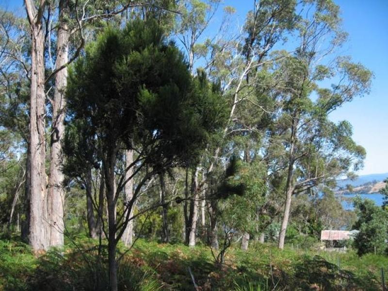 37 Dennes Point, Bruny Island TAS 7150