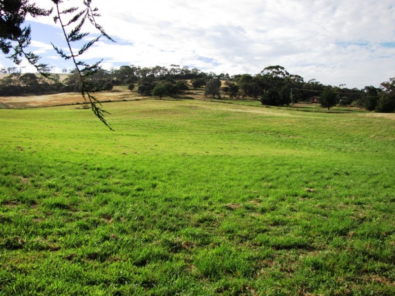 3729 South Arm Road, Opossum Bay TAS 7023