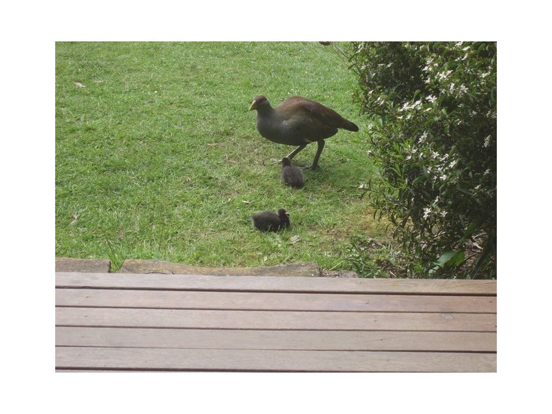 28 Tabors Road, Margate TAS 7054