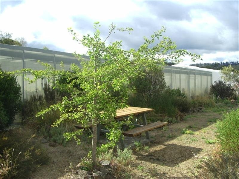 5598 Tasman Highway, Buckland TAS 7190