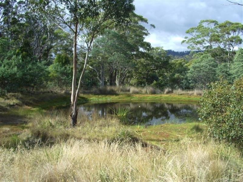 5598 Tasman Highway, Buckland TAS 7190