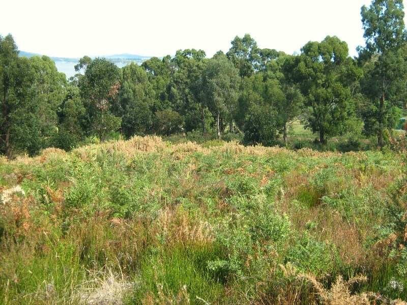 2 and 3, 43 Kregors Road, Gordon TAS 7150