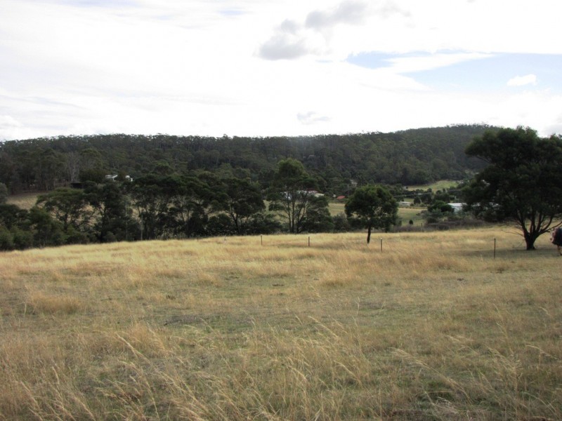 3 Valleyfield Drive, Sandford TAS 7020