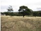 3 Valleyfield Drive, Sandford TAS 7020
