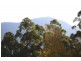 63a Marlyn Road, South Hobart TAS 7004