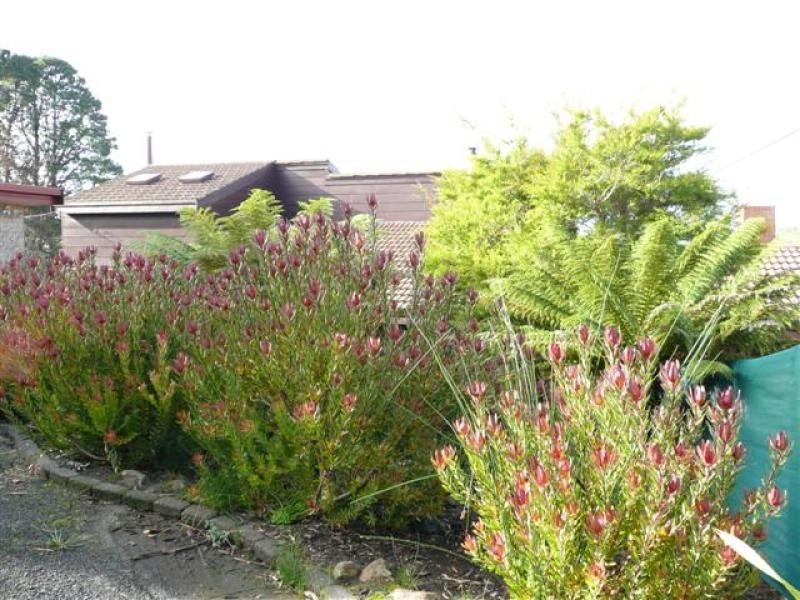 423 Nelson Road, Mount Nelson TAS 7007